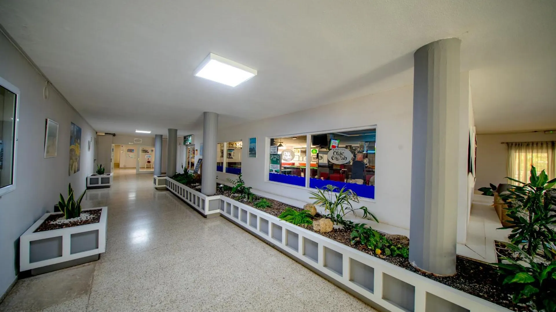 Costa Mar Appartement Los Cristianos   Los Cristianos (Tenerife)